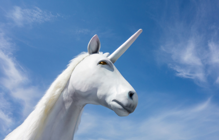 Top 10 Investment Unicorn Startup List 2022