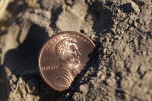 Buried Treasure Doesn’t Stand a Chance Against the Fed