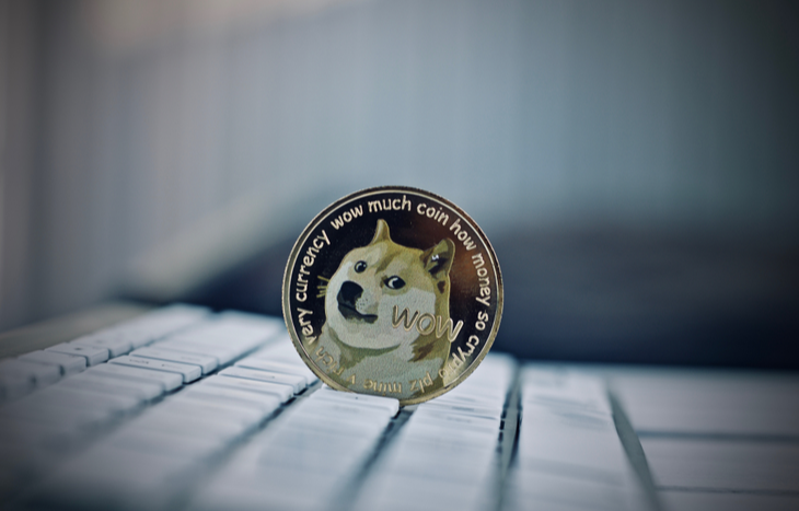 Dogecoin’s Value Rising: Record Highs and Celebrity Shoutouts