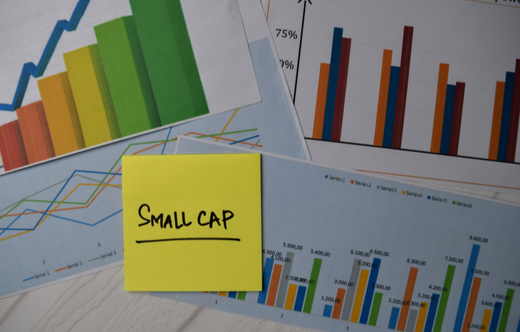 What Does Small Cap Mean?