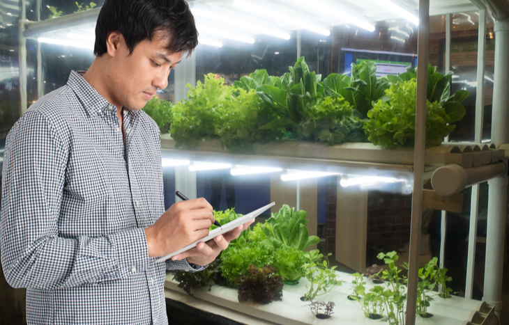 Top 3 Vertical Farming Stocks to Buy in 2023