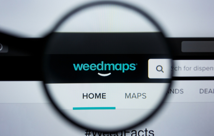 Weedmaps Stock: Everything to Know About This Cannabis SPAC IPO