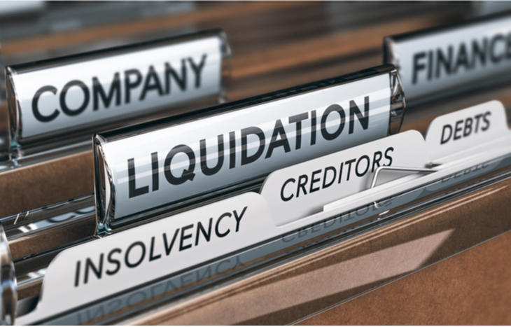 What is Insolvency?