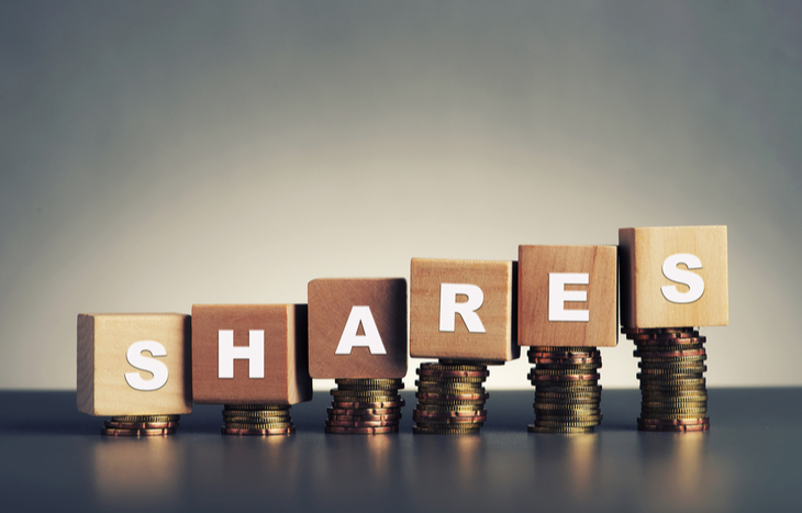 What is a Share of Stock?