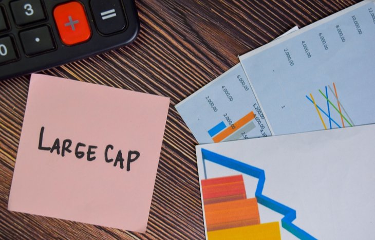 What Is a Large Cap ETF?