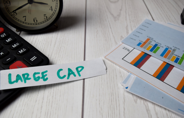 What is a Large Cap Fund?