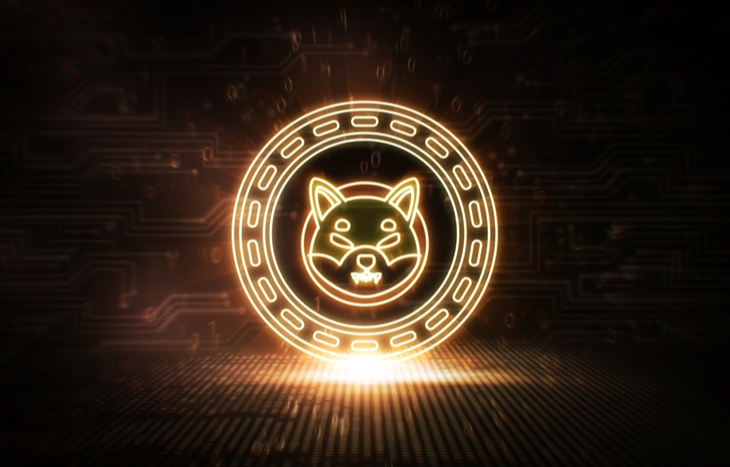 Shiba Coin Investing: Everything You Need to Know