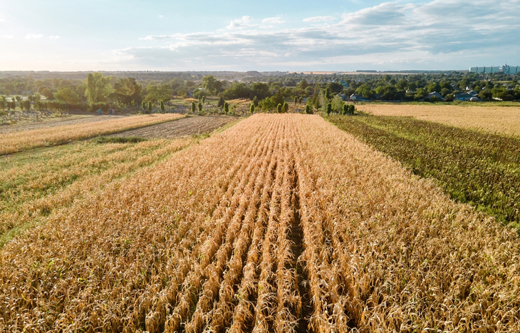 Playing The Fertilizer Squeeze: The 3 Best Fertilizer Stocks to Buy