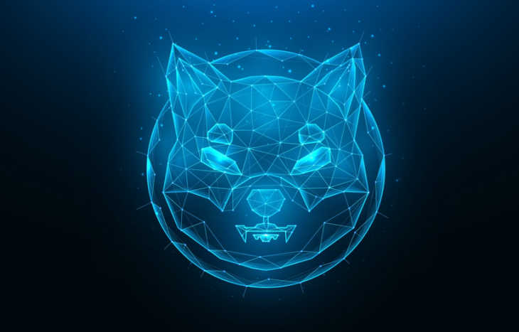 Shiba Inu Coin Price Prediction 2025 and Beyond