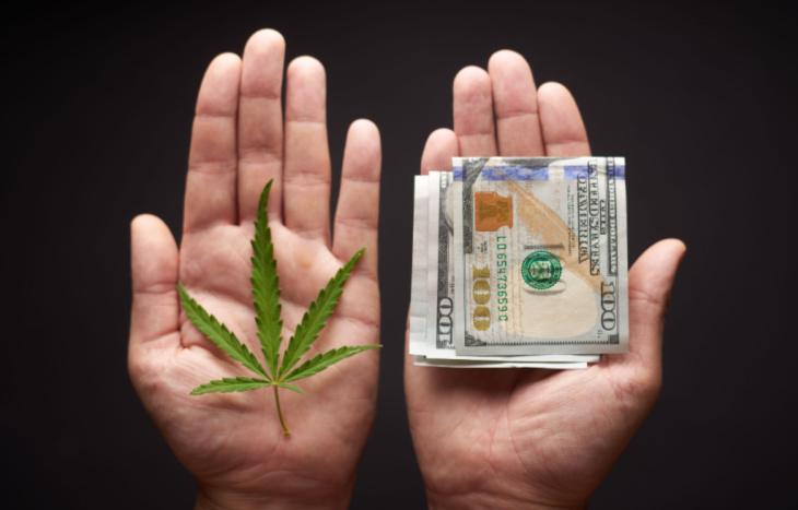 5 Best Marijuana Stocks: Beaten-Down Cannabis Market